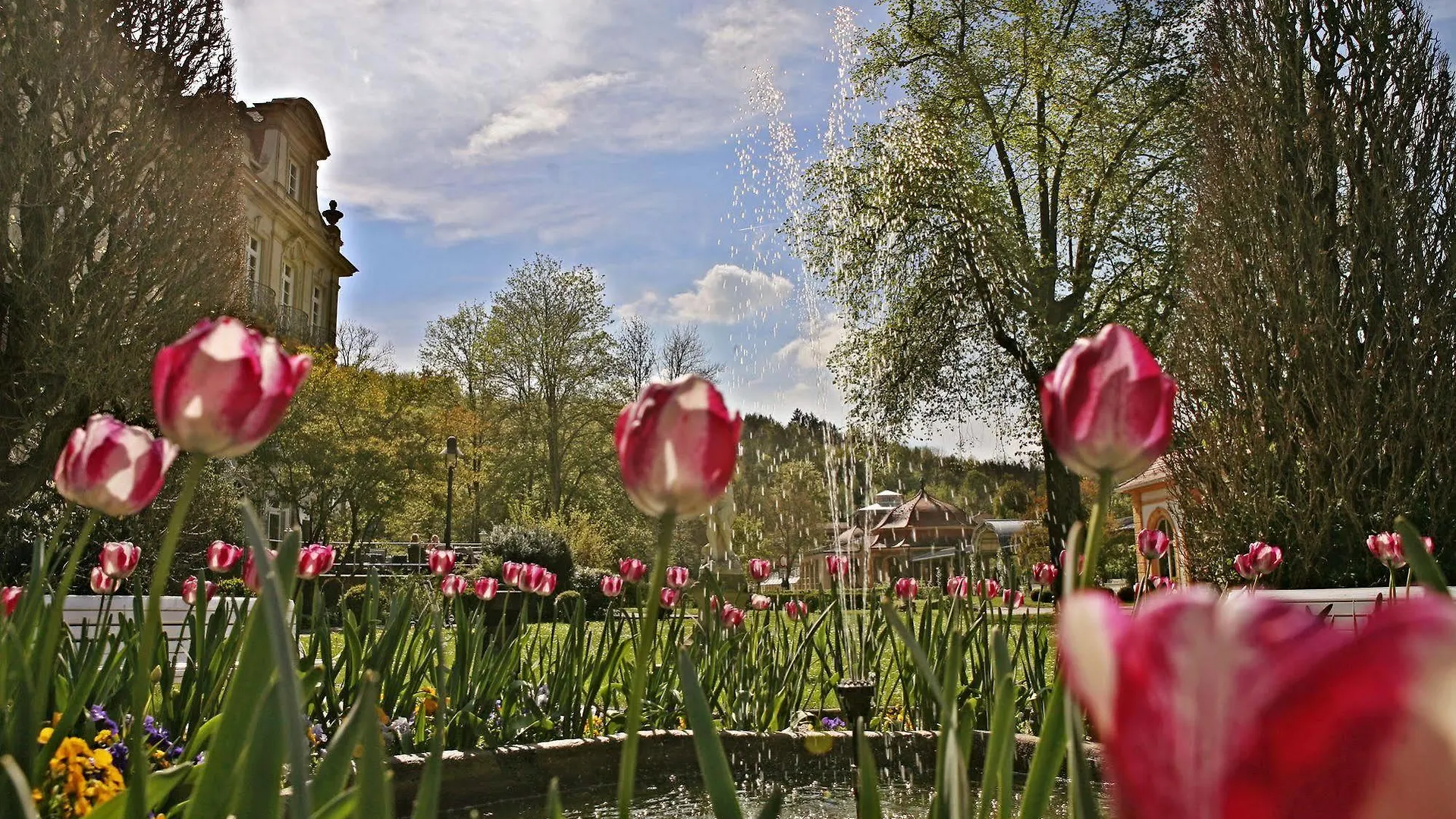 Hotel Badhotel Bad Brueckenau Staatsbad Bruckenau